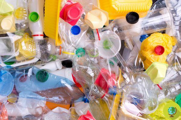 Plastic: packaging or not? What exactly goes into separate collection