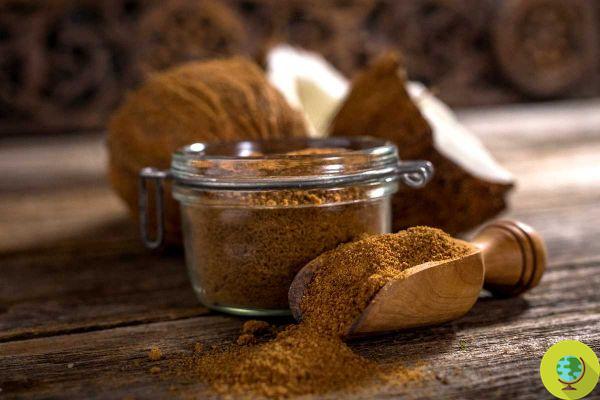 Coconut Sugar: Is It Really Healthier Than White Sugar?
