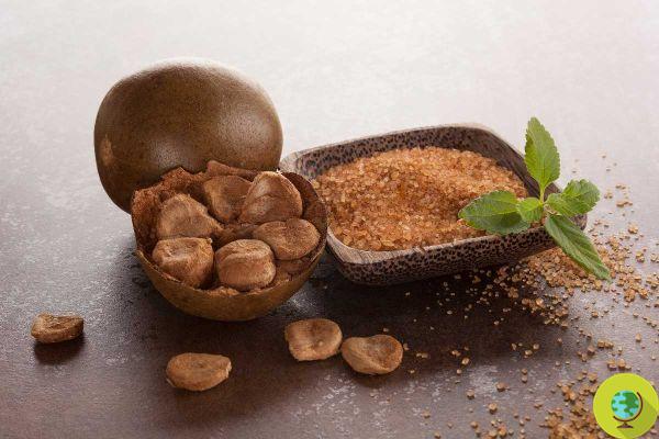 Coconut Sugar: Is It Really Healthier Than White Sugar?