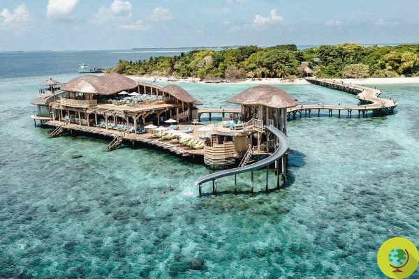 Je voulais que le libraire travaille pieds nus sur une belle île des Maldives