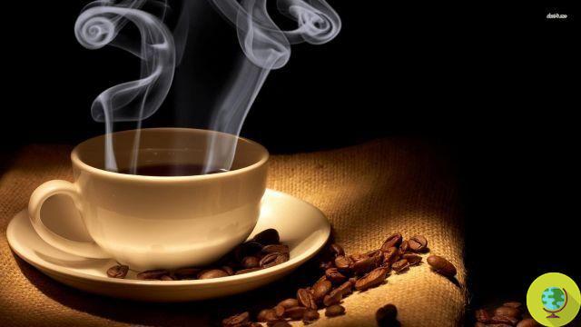 EFSA: Drinking more than 4 coffees a day is bad, especially during pregnancy
