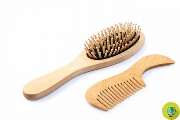 Smart tricks for cleaning combs and hairbrushes
