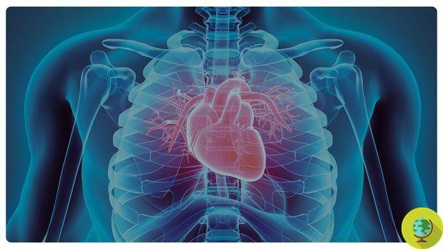 Coração: 80% dos ataques cardíacos são evitados mudando seu estilo de vida