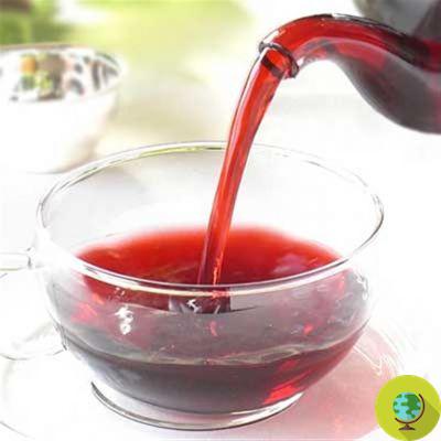 Hypertension : Top 10 des boissons qui abaissent la tension artérielle