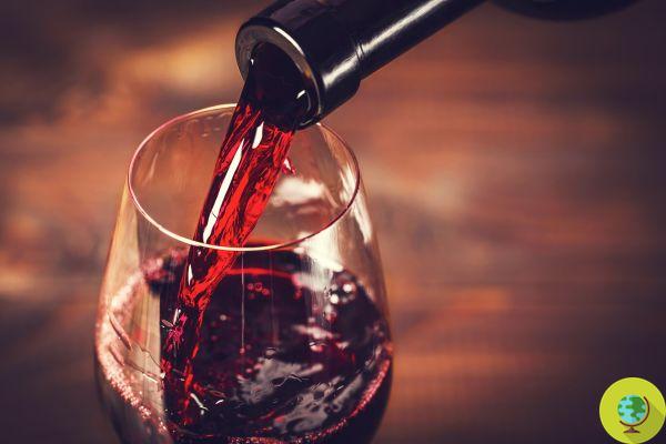 Red wine prevents the damage of smoking (but in moderation)