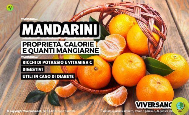 Mandarines: propriétés bénéfiques, variétés et utilisations