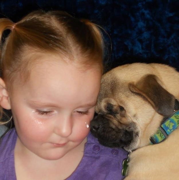 Xander, the blind dog who comforts abused children (PHOTO)