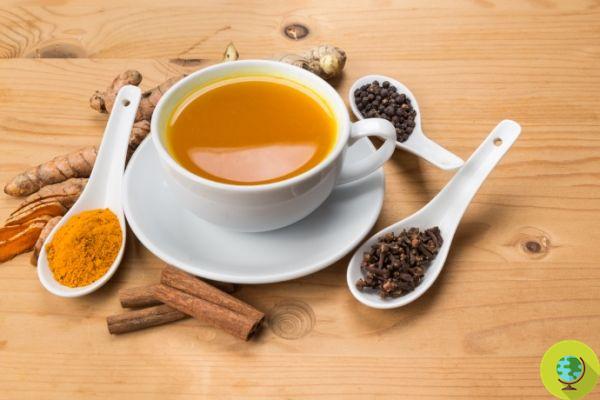 Chá de ervas de cúrcuma: benefícios, quando beber e receitas para prepará-lo