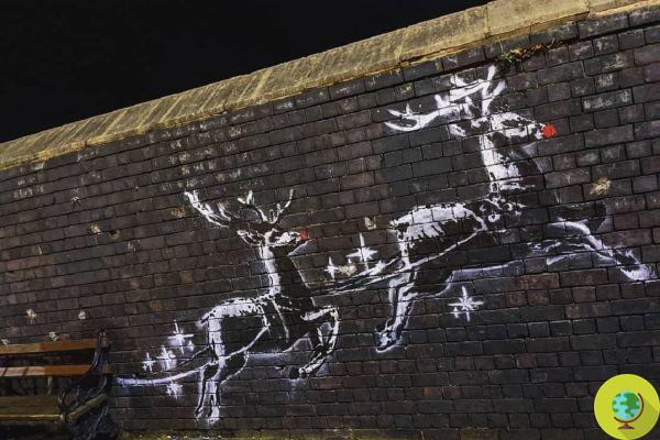 Banksy's latest mural vandalized, added two red noses to the white reindeer