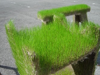Grass Art: Grass grows on furniture
