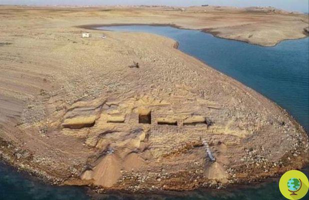 La sécheresse en Irak ramène un ancien palais d'une civilisation mystérieuse