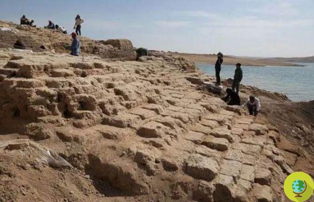 Drought in Iraq re-emerges an ancient palace of a mysterious civilization