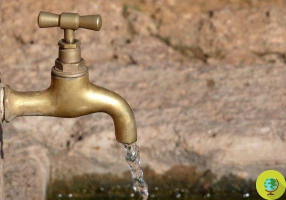 2 bilhões de pessoas bebem água contaminada. O alarme da OMS