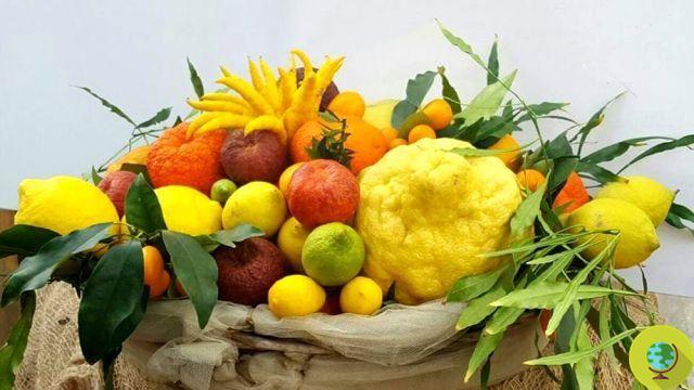 Cancer: les oranges et les agrumes en été augmentent-ils le risque de mélanome?