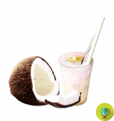 Coconut milk: properties, uses and where to find it