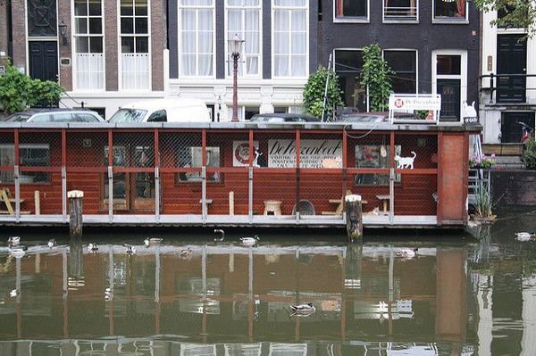 The Cat Boat: em Amsterdã o abrigo flutuante para abrigar gatos abandonados (VÍDEO)