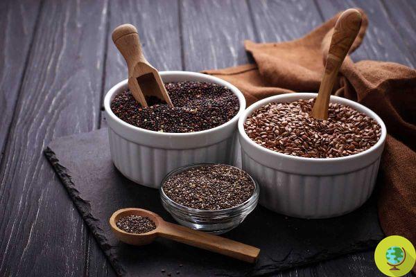 Sementes de chia VS sementes de linhaça: diferenças e quais são as mais saudáveis?