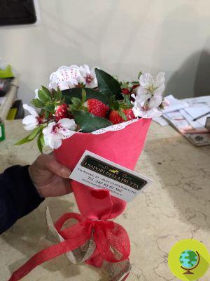Bouquet de fruits frais à la place des fleurs et des chocolats, l'idée gagnante de ce fruitier sicilien