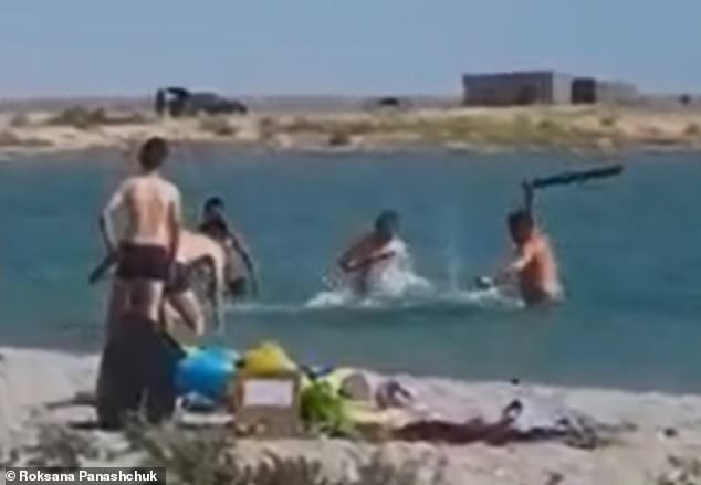 Turistas batem e apedrejam uma foca indefesa para tirar uma selfie com as crianças