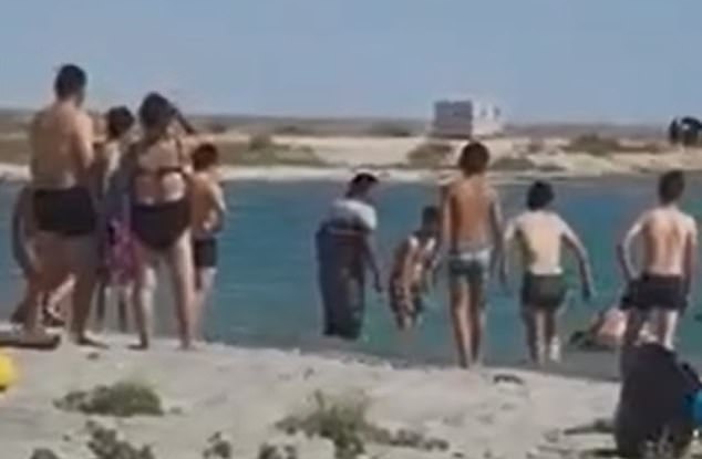 Tourists beat and stone a defenseless seal to take a selfie with the children