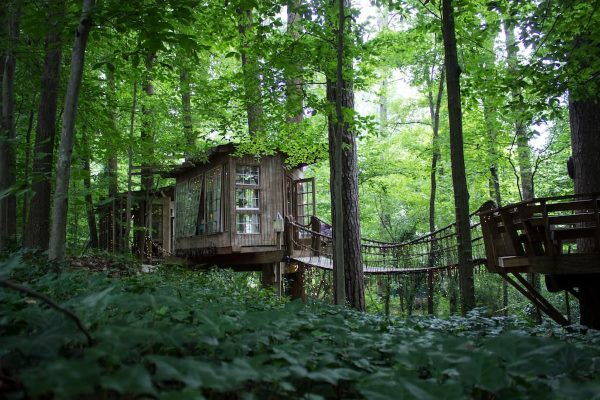 La hermosa casa del árbol de Atlanta es la más reservada en Airbnb (FOTOS)